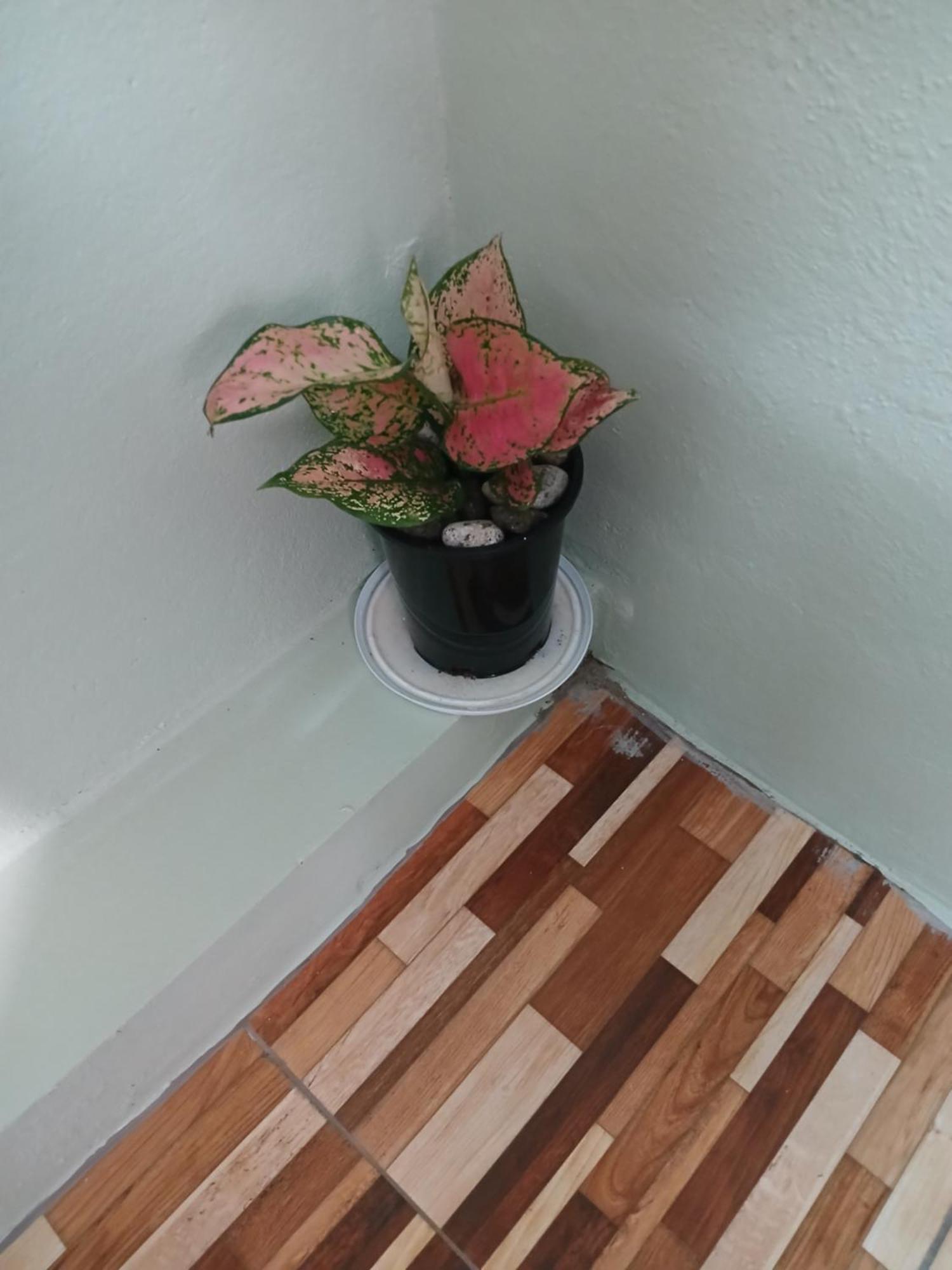 Bed and Breakfast Natrue'S Haven Marigot Esterno foto